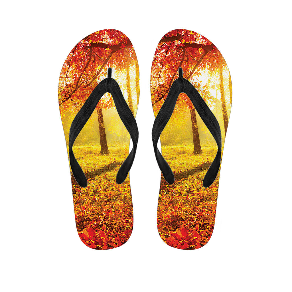 Autumn Trees Hawaiian Flip Flops: Embrace Island Style - 1